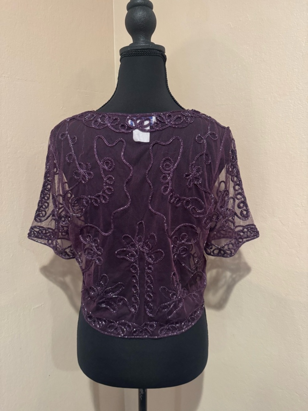 Plum Embroidered Beaded Mesh Bolero with Beadwork, Silver Threading and Sequins - Picture 4 of 8